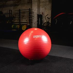 Купить Гимнастический мяч Yousteel Hard 55см в Ивангороде 